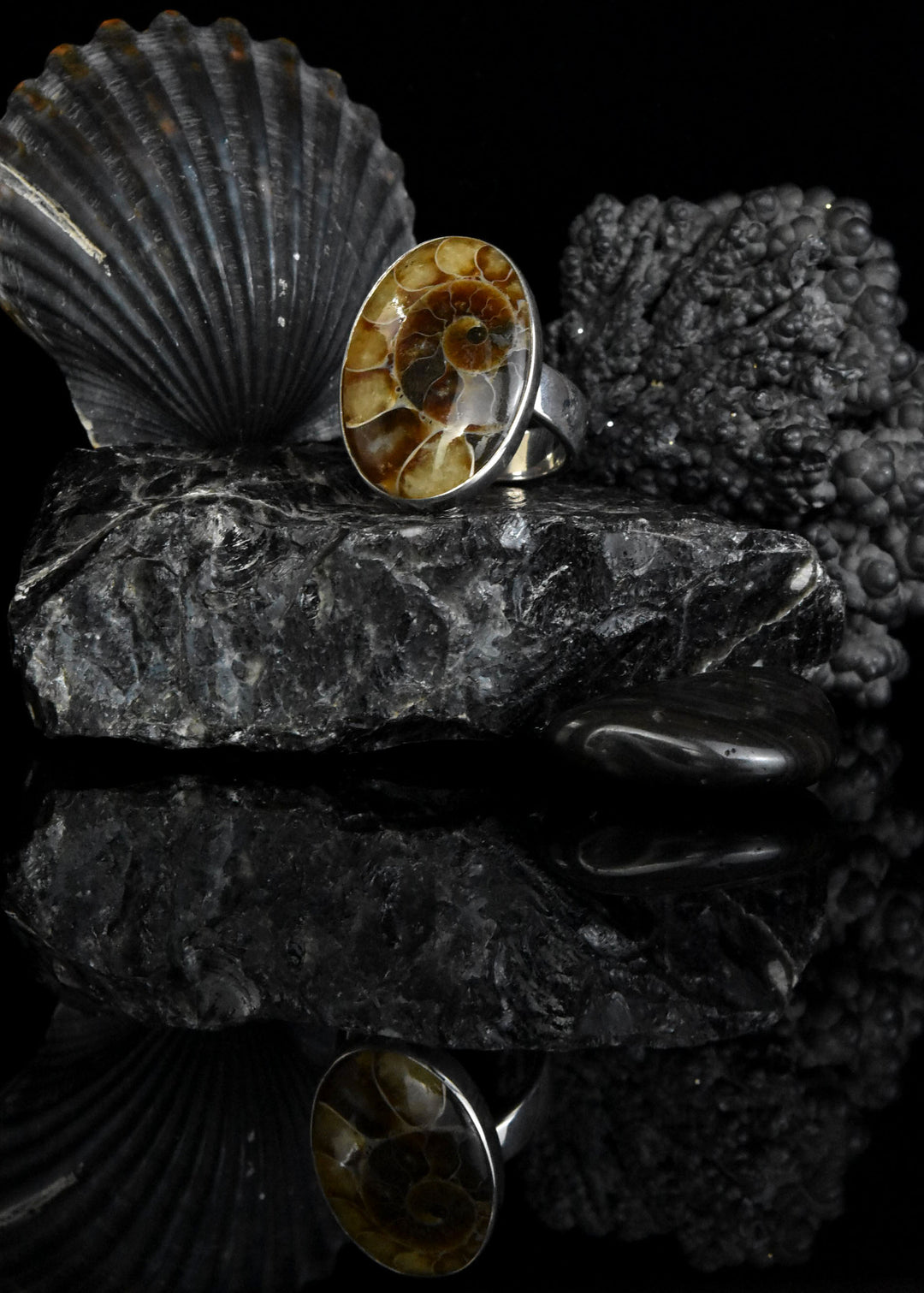 Ammonite Ring in Sterling Silver - Goldmakers Fine Jewelry