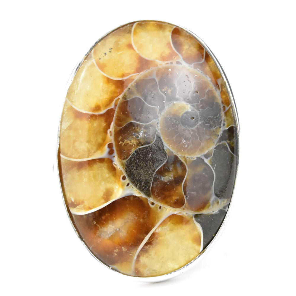 Ammonite Ring in Sterling Silver - Goldmakers Fine Jewelry