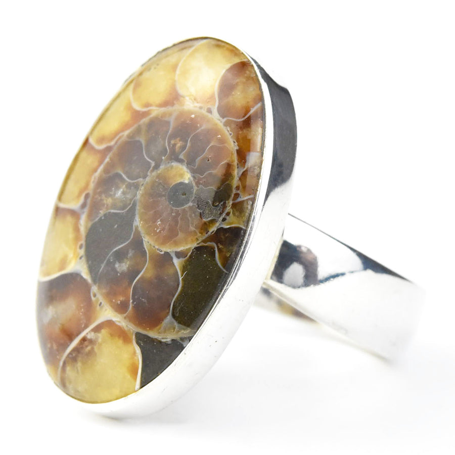Ammonite Ring in Sterling Silver - Goldmakers Fine Jewelry
