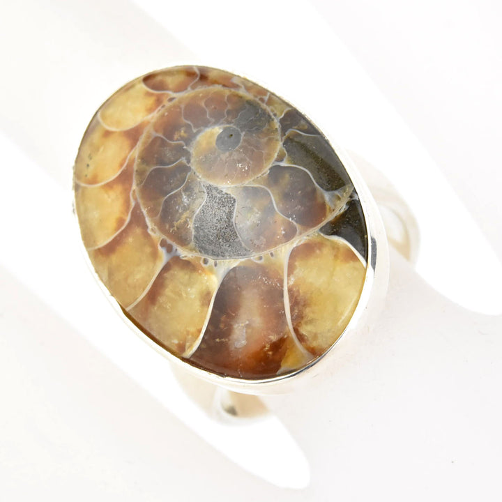 Ammonite Ring in Sterling Silver - Goldmakers Fine Jewelry