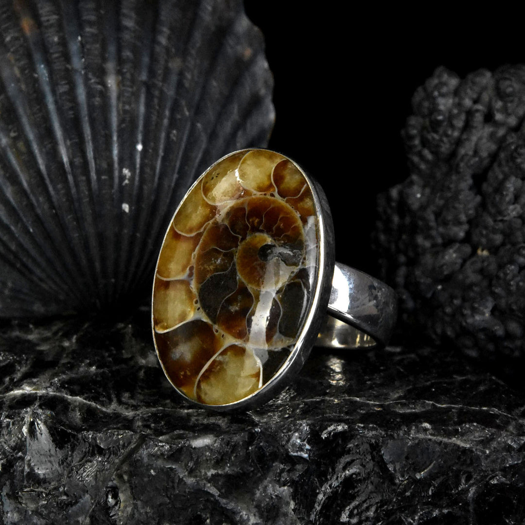 Ammonite Ring in Sterling Silver - Goldmakers Fine Jewelry