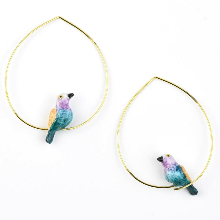 Blue Belly Bird Hoops