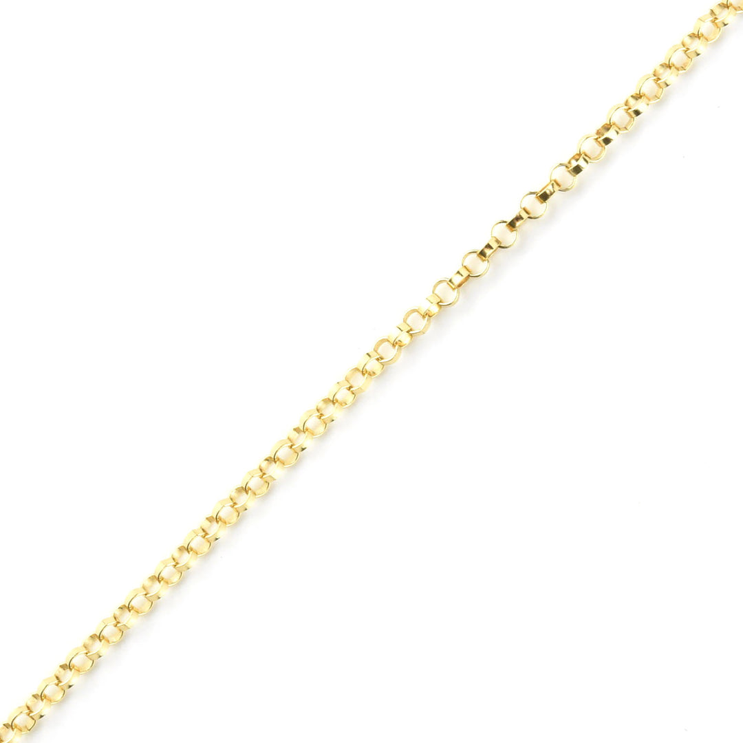 Gold Filled Adjustable Rolo Chain