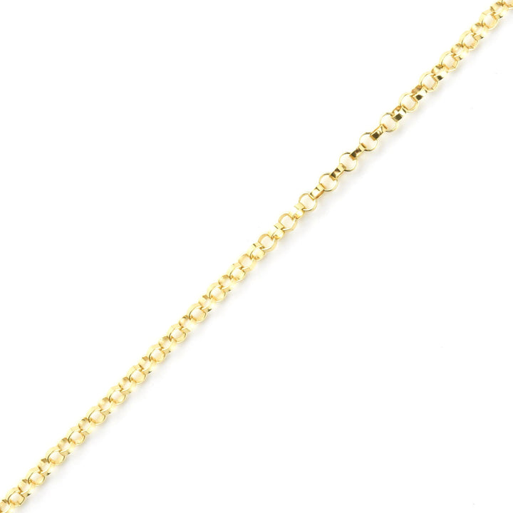 Gold Filled Adjustable Rolo Chain