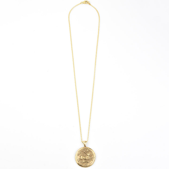 Hare and Dolphin Coin Necklace