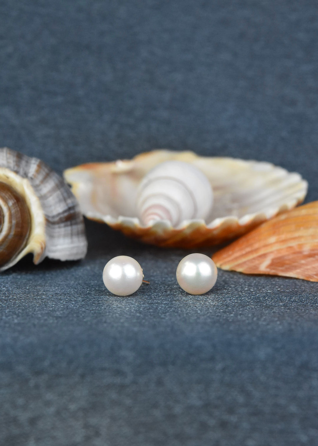 White Akoya Pearl Studs in 14k Yellow Gold