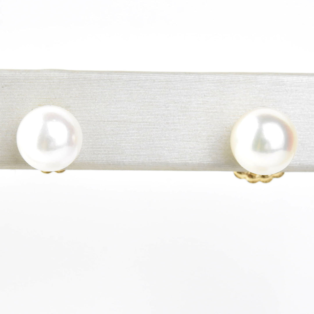 White Akoya Pearl Studs in 14k Yellow Gold