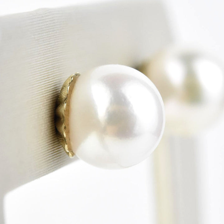 White Akoya Pearl Studs in 14k Yellow Gold