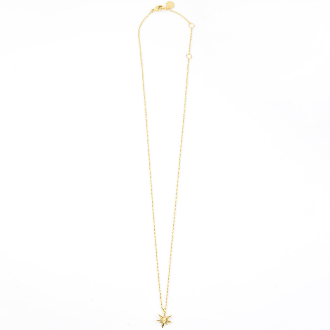 Mini Star Anise Necklace - Goldmakers Fine Jewelry