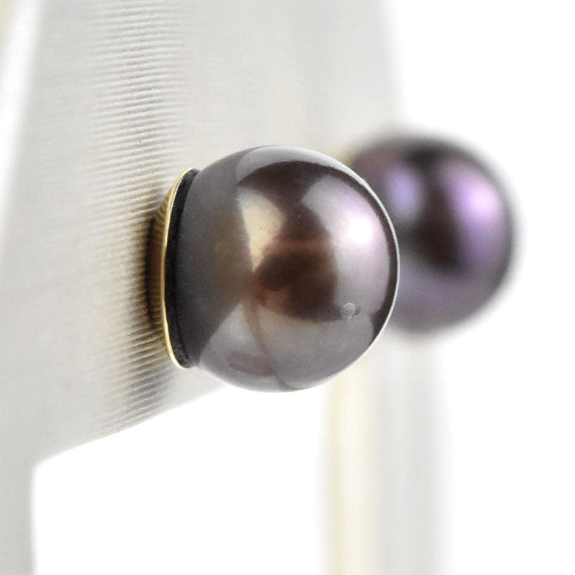 Purple Black Pearl Studs in 14k Yellow Gold No. 2