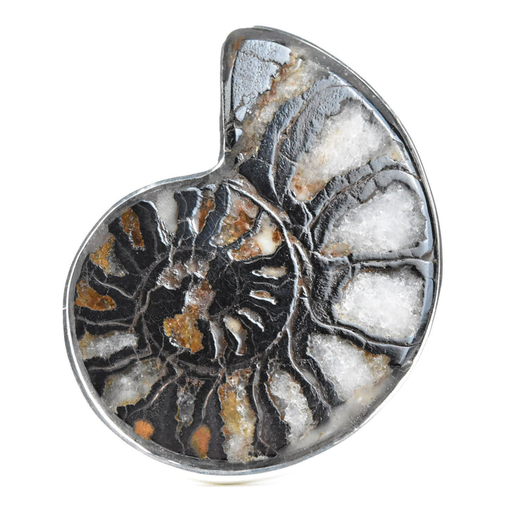 Fossilized Ammonite Ring in Sterling Silver No. 1