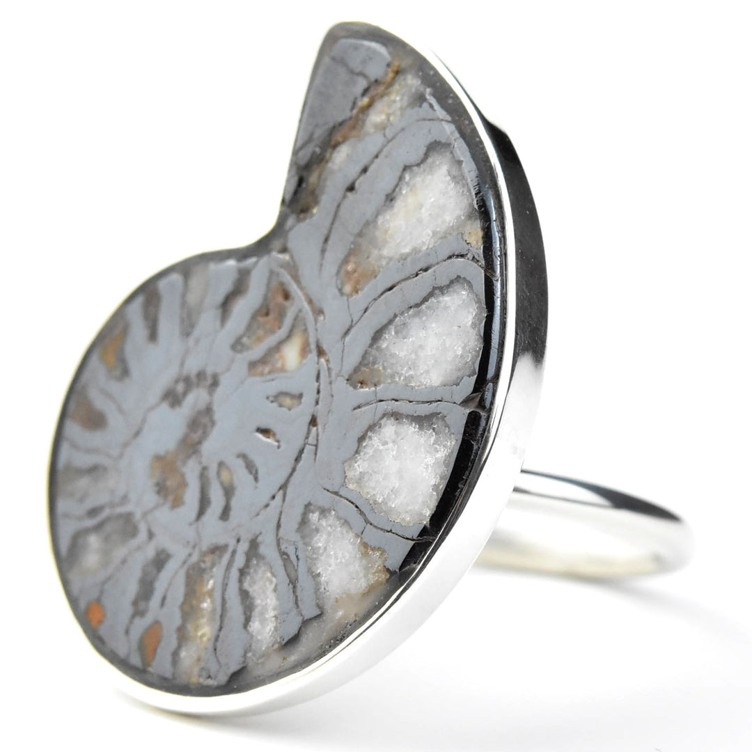 Fossilized Ammonite Ring in Sterling Silver No. 1