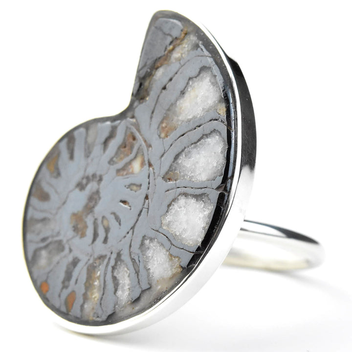 Fossilized Ammonite Ring in Sterling Silver No. 1