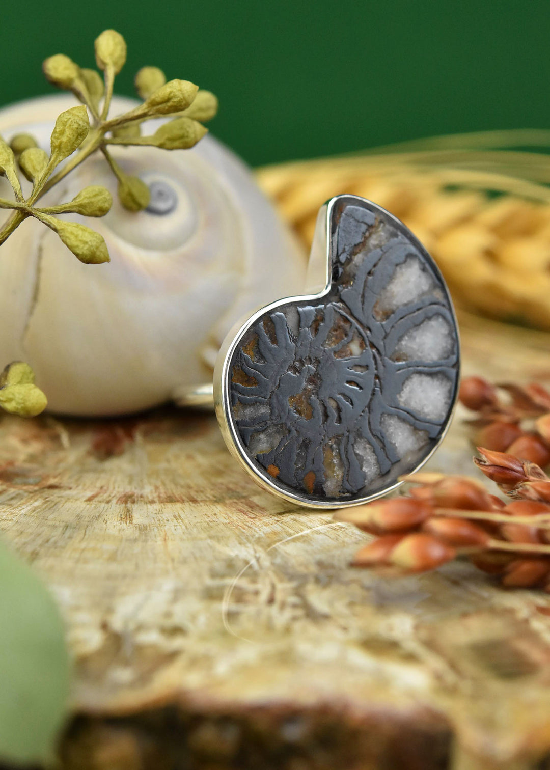 Fossilized Ammonite Ring in Sterling Silver No. 1