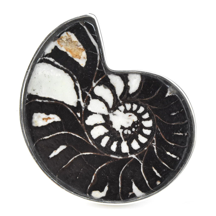 Fossilized Ammonite Ring in Sterling Silver No. 2