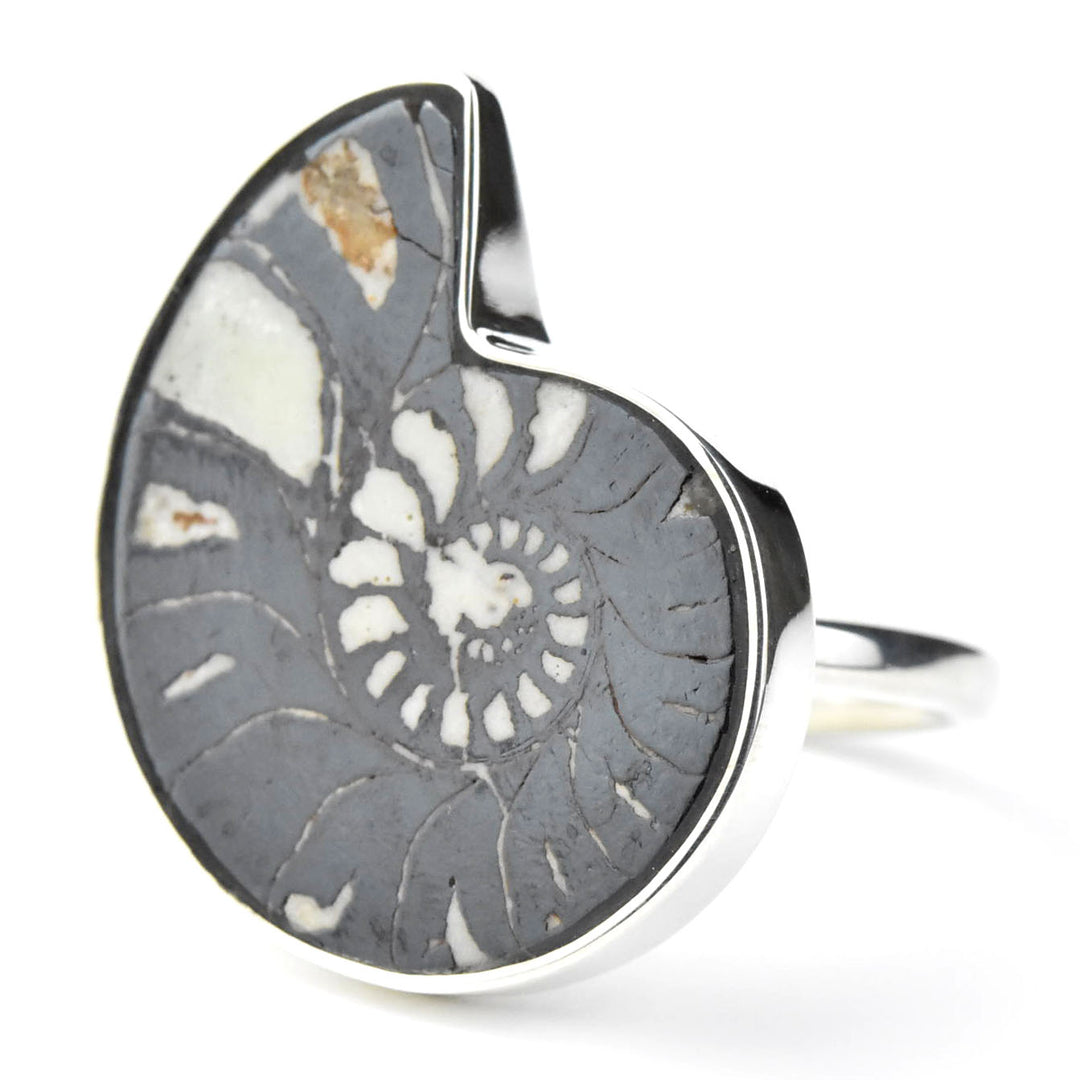 Fossilized Ammonite Ring in Sterling Silver No. 2