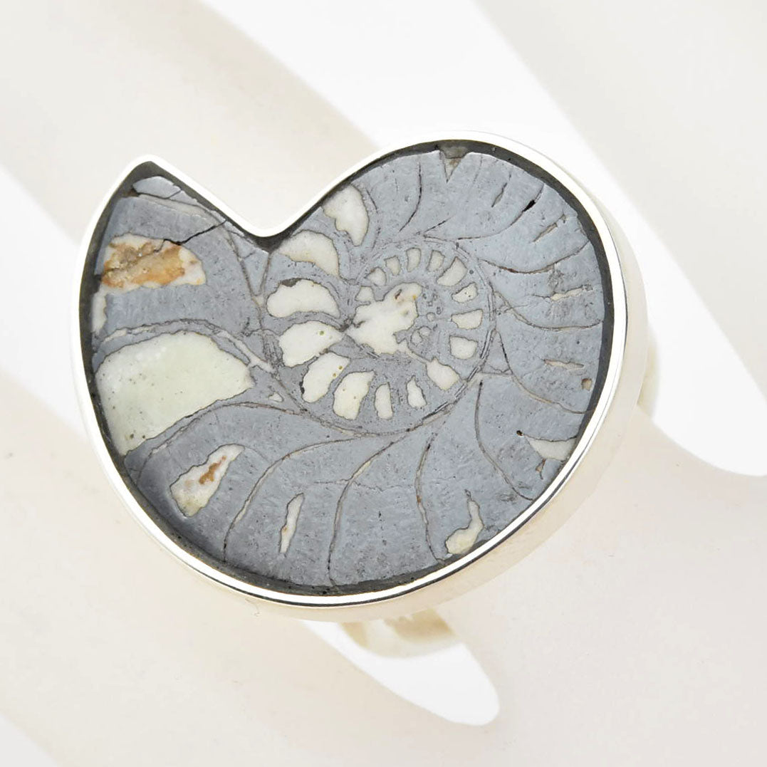 Fossilized Ammonite Ring in Sterling Silver No. 2