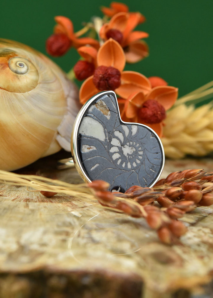 Fossilized Ammonite Ring in Sterling Silver No. 2