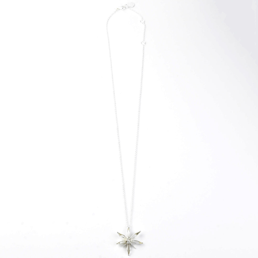 Star Anise Necklace