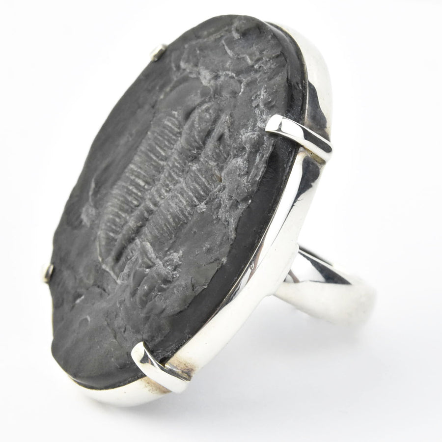 Fossilized Trilobite Ring in Sterling Silver - Goldmakers Fine Jewelry
