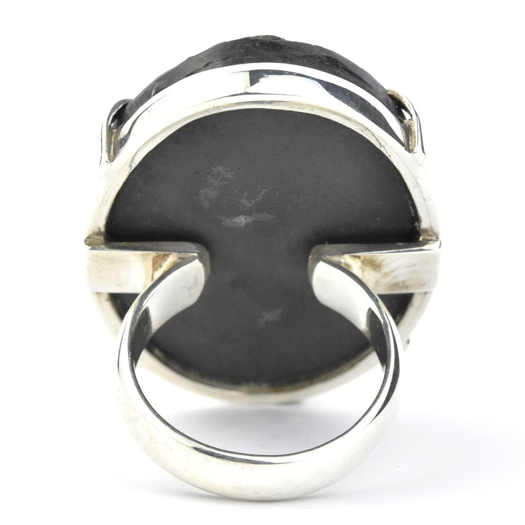 Fossilized Trilobite Ring in Sterling Silver - Goldmakers Fine Jewelry