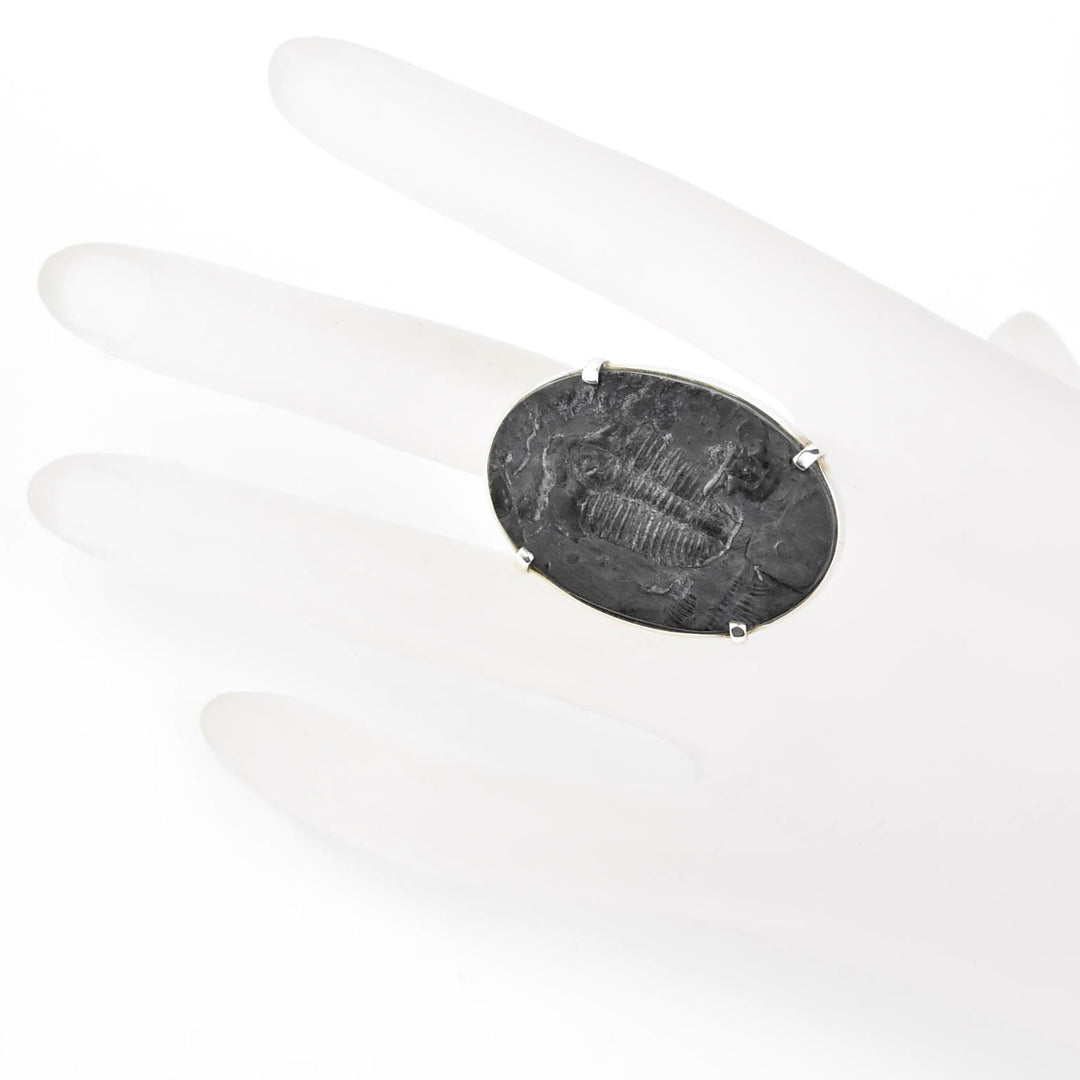 Fossilized Trilobite Ring in Sterling Silver - Goldmakers Fine Jewelry