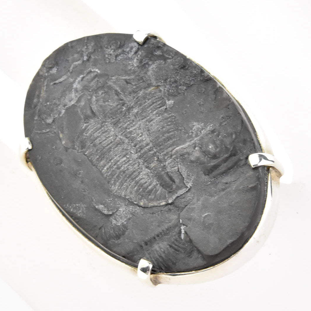 Fossilized Trilobite Ring in Sterling Silver - Goldmakers Fine Jewelry
