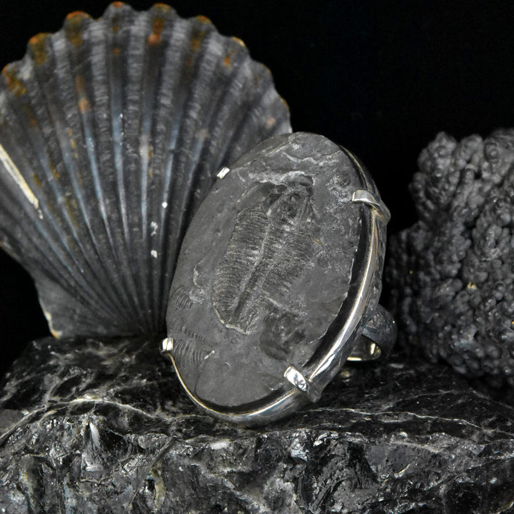 Fossilized Trilobite Ring in Sterling Silver - Goldmakers Fine Jewelry