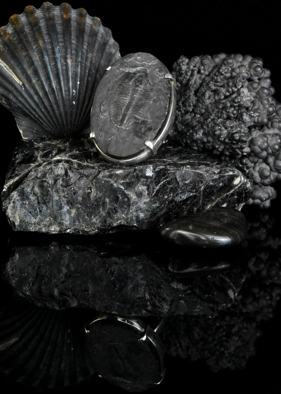 Fossilized Trilobite Ring in Sterling Silver - Goldmakers Fine Jewelry