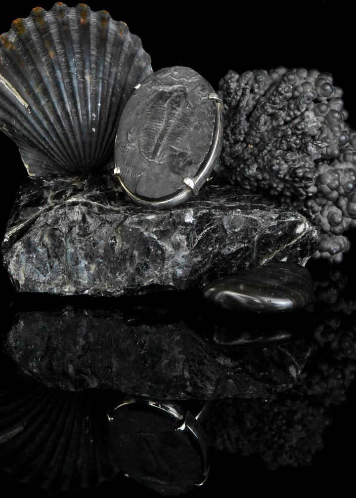 Fossilized Trilobite Ring in Sterling Silver - Goldmakers Fine Jewelry