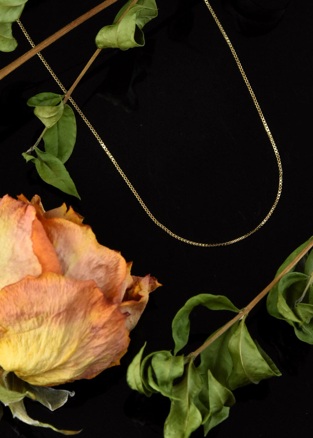 Gold Filled Adjustable Box Chain