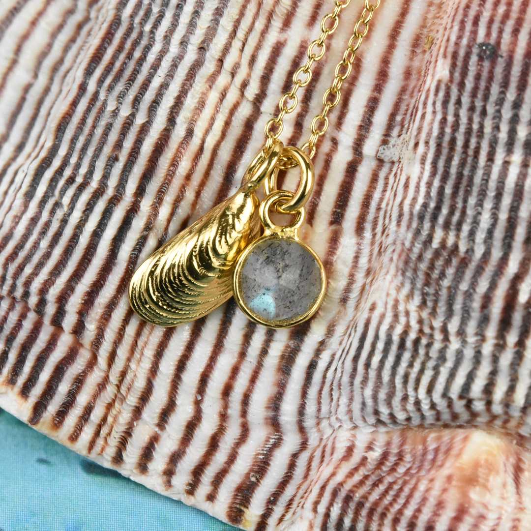 Micro Serenity Shell Bezel Necklace - Goldmakers Fine Jewelry