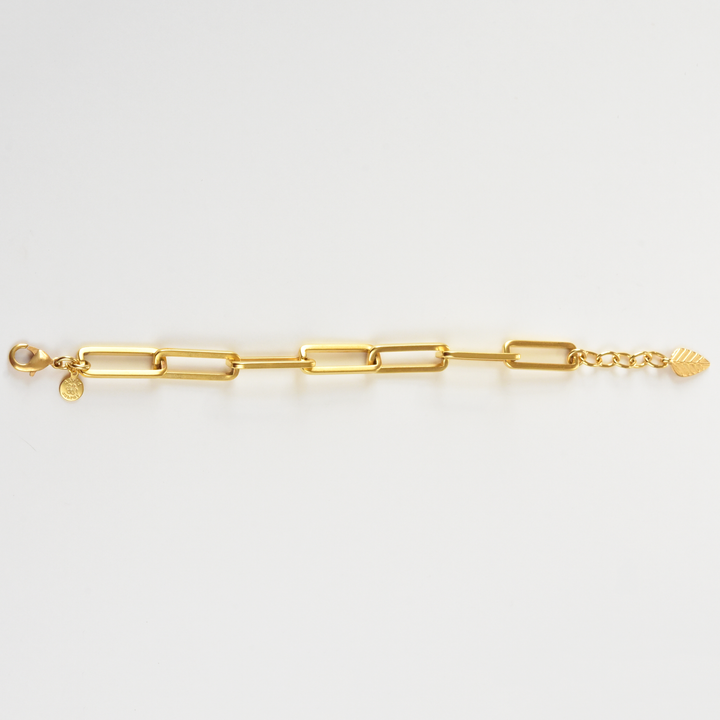 Paperclip Chain Bracelet - Goldmakers Fine Jewelry